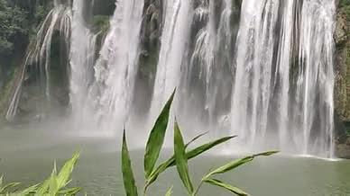 旅行拍摄瀑布叶子绿植安顺视频的预览图